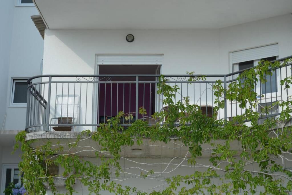 Recommendation for small&young families Duće Exterior foto